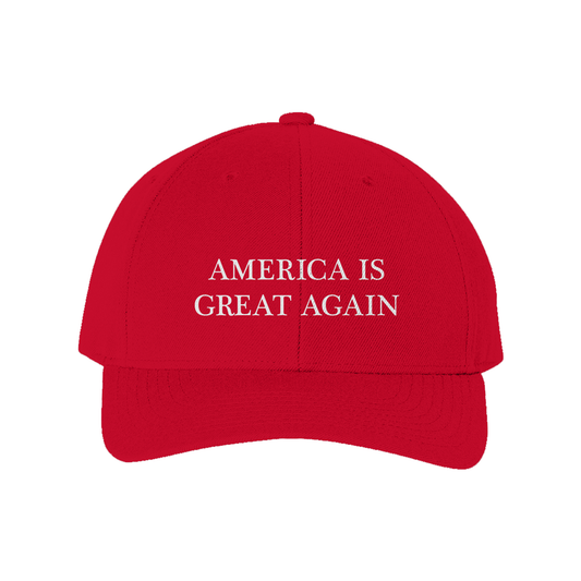 America is Great Again | Curved Brim Snapback