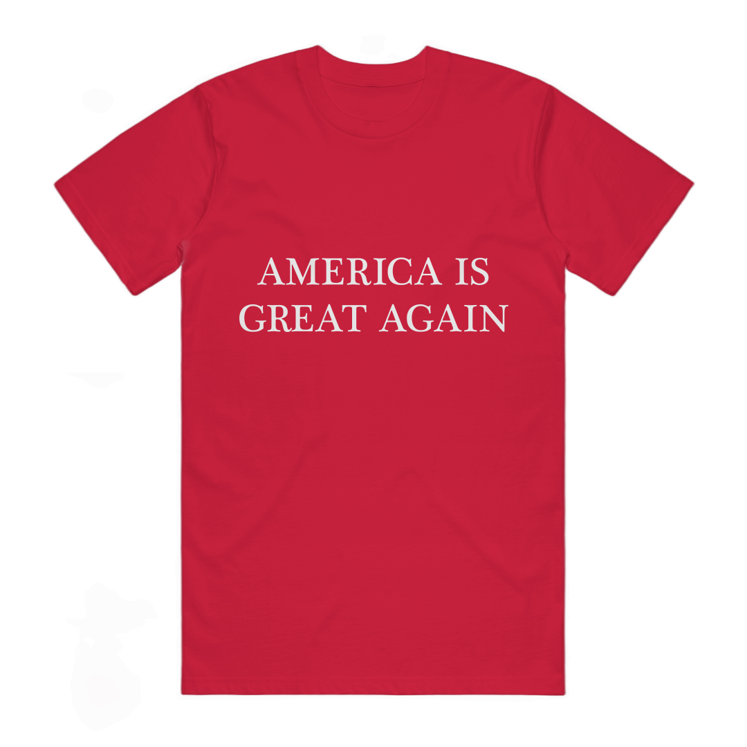 America is Great Again | T-shirt