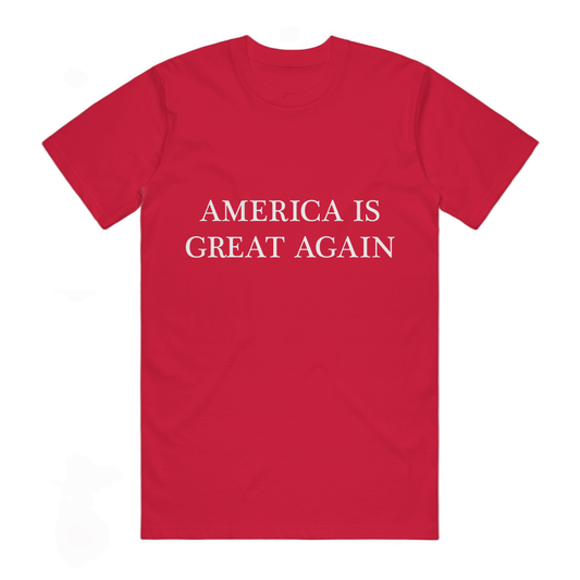 America is Great Again | T-shirt